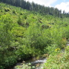 Zvětšit obrázek
