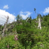 Zvětšit obrázek