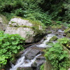 Zvětšit obrázek