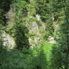 Zvětšit obrázek