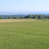 Zvětšit obrázek
