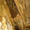 Zvětšit obrázek