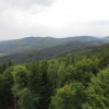 Zvětšit obrázek