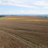 Zvětšit obrázek