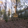 Zvětšit obrázek