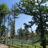 Zvětšit obrázek