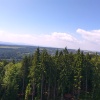 Zvětšit obrázek