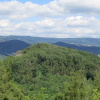 Zvětšit obrázek
