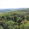 Zvětšit obrázek