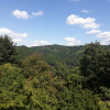 Zvětšit obrázek