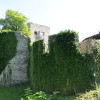 Zvětšit obrázek