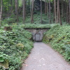 Zvětšit obrázek
