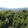 Zvětšit obrázek