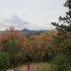 Zvětšit obrázek