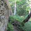 Zvětšit obrázek