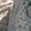 Zvětšit obrázek