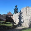 Zvětšit obrázek