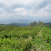 Zvětšit obrázek