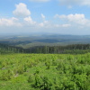 Zvětšit obrázek