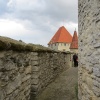 Zvětšit obrázek