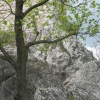 Zvětšit obrázek