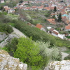 Zvětšit obrázek