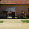 Zvětšit obrázek