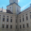 Zvětšit obrázek