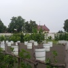 Zvětšit obrázek