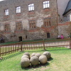 Zvětšit obrázek