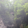 Zvětšit obrázek