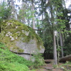 Zvětšit obrázek