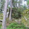 Zvětšit obrázek