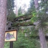 Zvětšit obrázek