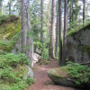 Zvětšit obrázek