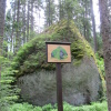 Zvětšit obrázek