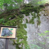 Zvětšit obrázek