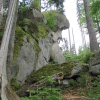 Zvětšit obrázek