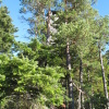Zvětšit obrázek