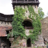 Zvětšit obrázek