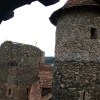 Zvětšit obrázek