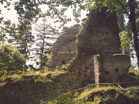 Pajrek