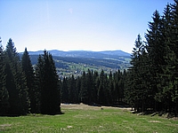 Špičák