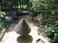 ZOO Brno
