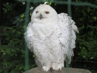 ZOO Ostrava