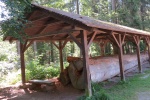 Boubínský prales
