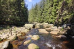Šumavská řeka Vydra
