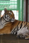 Zoo Horní Lipová