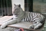 ZOO Liberec