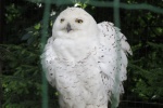 ZOO Ostrava